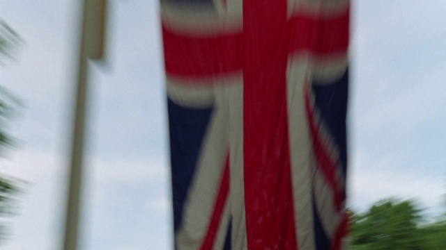 Video Reference: Flag, Red, Tree, Plant