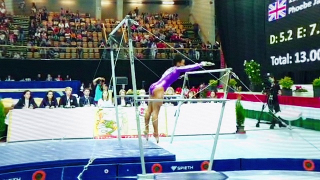 Video Reference: Sports, Gymnastics, Individual sports, Tumbling (gymnastics), Artistic gymnastics, Uneven bars, Flip (acrobatic), Jumping, Pole vault, Competition