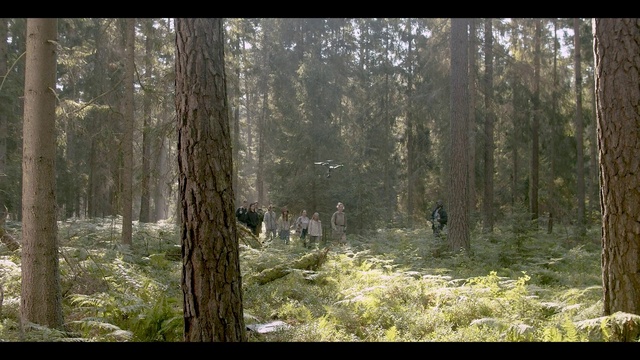 Video Reference: Forest, Woodland, Natural environment, Nature, Tree, Old-growth forest, Northern hardwood forest, Spruce-fir forest, Nature reserve, Tropical and subtropical coniferous forests