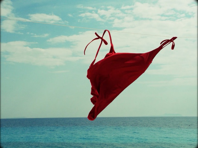 Video Reference: Red, Sky, Water, Sea, Photography, Stock photography, Vacation, Ocean, Plant, Outdoor, Kite, Beach, Flying, Body, Large, Standing, Cloudy, Man, Sitting, Air, Sunset, Blue, Bird, Hat, People, Boat, Surfing, Umbrella, Wave, Flag, Cloud, Nature, Shore, Sandy, Day