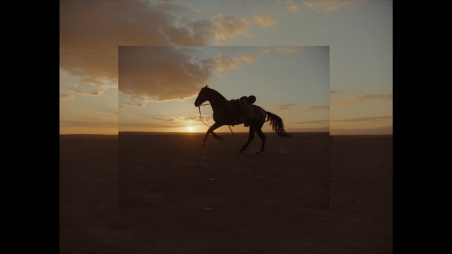 Video Reference: Horse, Sky, Stallion, Ecoregion, Mare, Sunset, Mane, Calm, Stock photography, Mustang horse