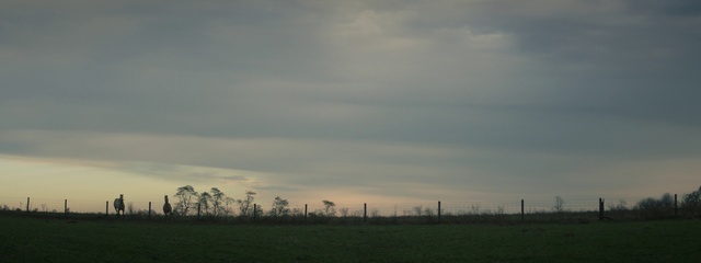 Video Reference: Sky, Atmospheric phenomenon, Nature, Cloud, Horizon, Plain, Grassland, Field, Atmosphere, Morning