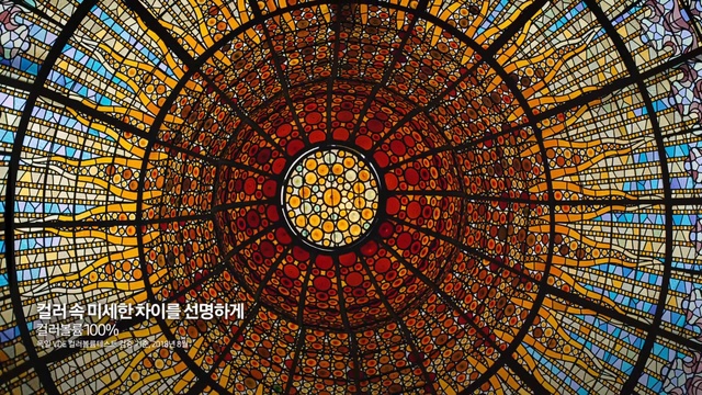 Video Reference: Dome, Stained glass, Glass, Architecture, Symmetry, Window, Byzantine architecture, Pattern, Psychedelic art, Place of worship