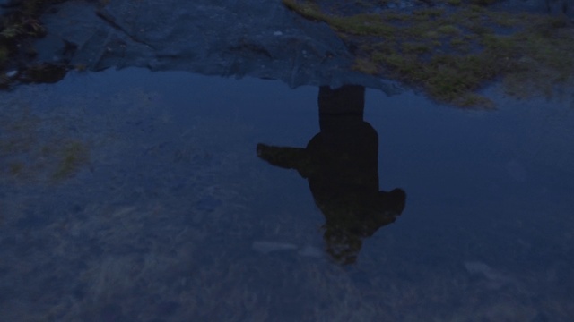 Video Reference: Water, Blue, Reflection, Shadow, Recreation, Screenshot, Geological phenomenon, World