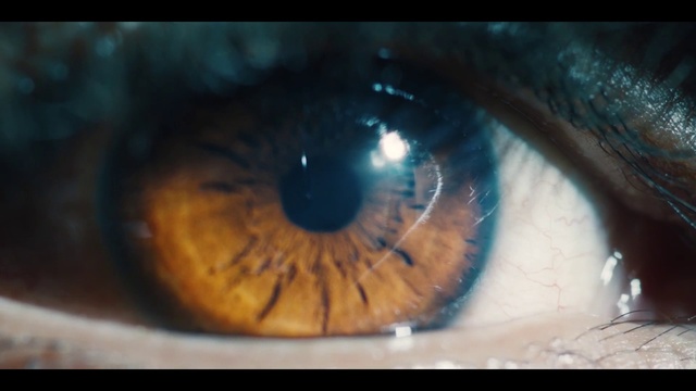 Video Reference: Iris, Eye, Close-up, Organ, Blue, Eyelash, Brown, Macro photography, Photography, Human body