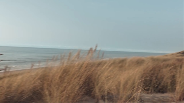 Video Reference: sea, coast, beach, shore, sky, horizon, ocean, ecoregion, grass, grass family