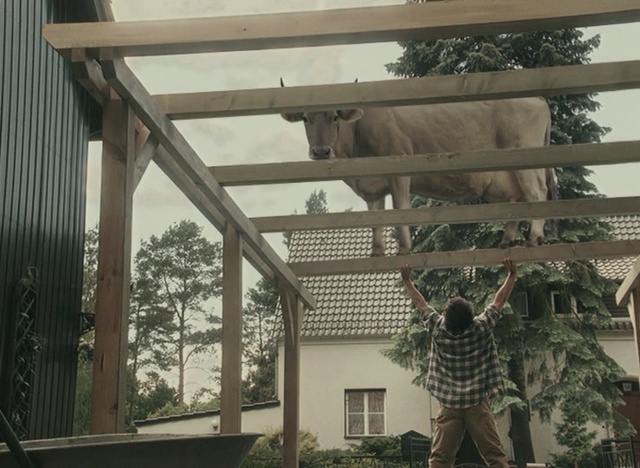 Video Reference: Roof, Tree, Window, Shade, Architecture, House, Daylighting, Wood, Plant, Home, Person