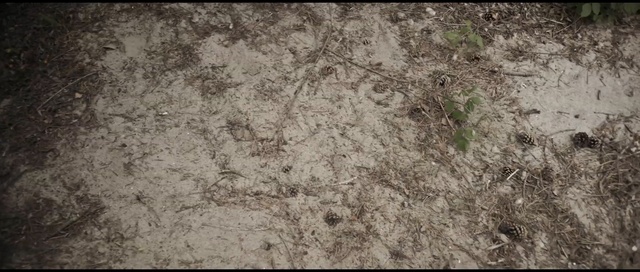 Video Reference: Soil, Brown, Wall, Geology, Rock, Grass, Concrete, Granite
