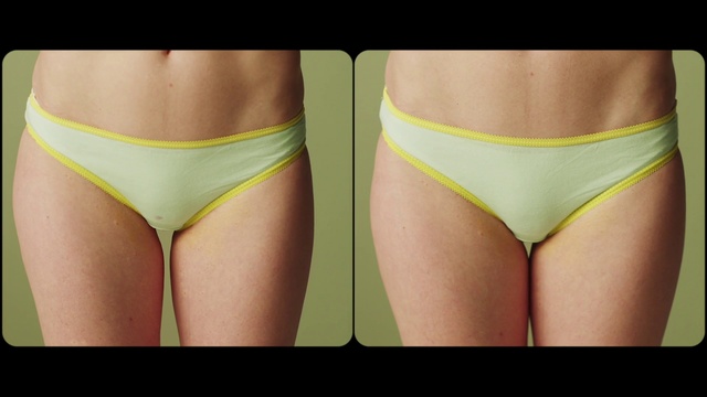 Video Reference: Undergarment, Underpants, Briefs, Bikini, Clothing, Swimsuit bottom, Lingerie, Thigh, Leg, Swimwear