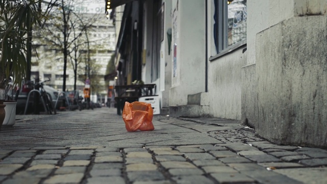 Video Reference: Alley, Street, Town, Cobblestone, Road, Road surface, Infrastructure, Flooring, Neighbourhood, Sidewalk, Person