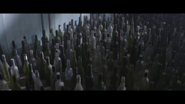 Video Reference: Crowd, Plant, Screenshot, Glass bottle