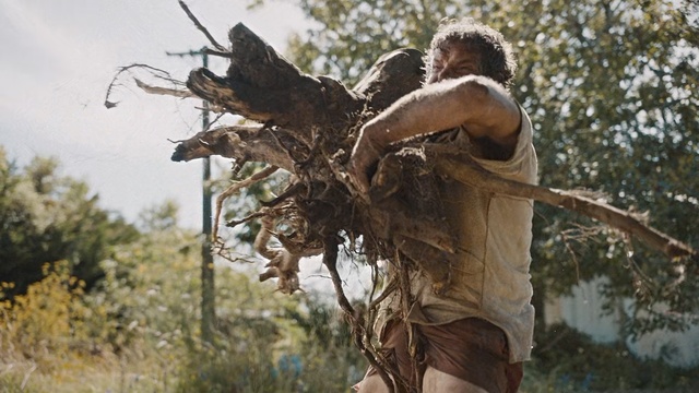 Video Reference: Tree, Plant, Adaptation