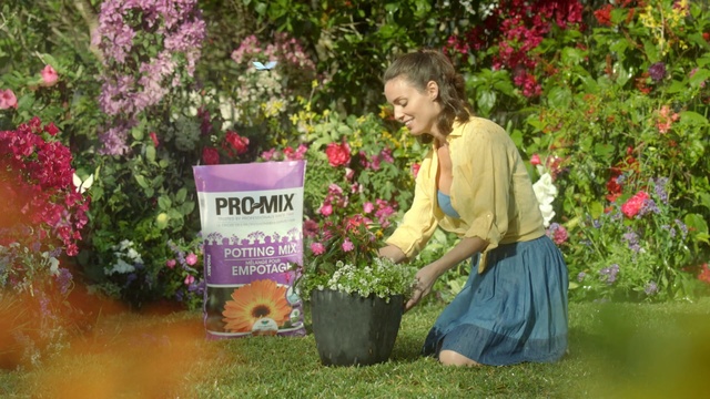 Video Reference: garden, plant, flower, flora, spring, grass, shrub, flowering plant, botanical garden, tree