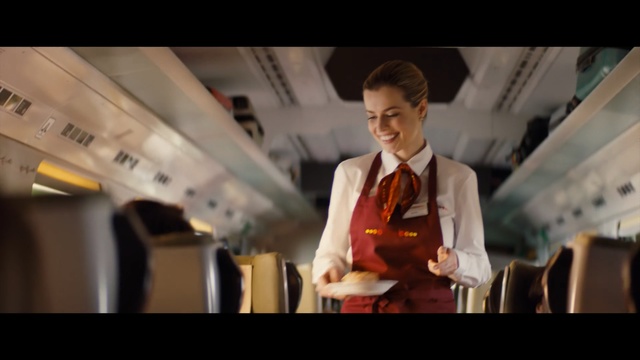 Video Reference: Flight attendant, Snapshot, Human, Suit, Fun, Photography, Gentleman, Airline, White-collar worker, Passenger, Person