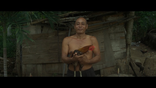 Video Reference: screenshot, barechestedness, human, muscle, tree, temple, darkness, jungle, chest, scene, Person