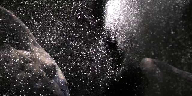 Video Reference: Water, Black, Atmosphere, Monochrome photography, Black-and-white, Close-up, Space, Universe, Darkness, Astronomical object