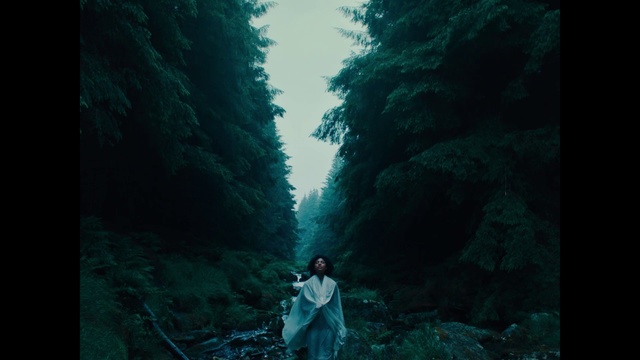 Video Reference: Nature, Green, Forest, Natural environment, Darkness, Tree, Jungle, Organism, Old-growth forest, Photography