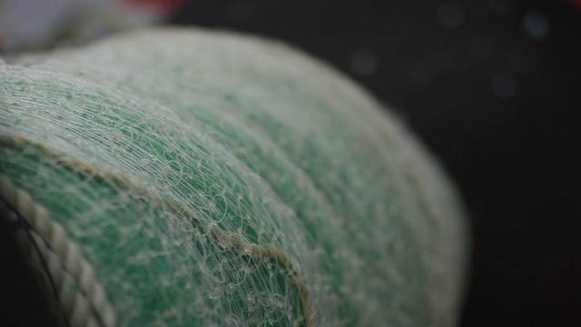 Video Reference: Melon, Green, Close-up, Muskmelon, Cucumber, gourd, and melon family, Plant, Cucumis, Watermelon, Fruit, Cantaloupe