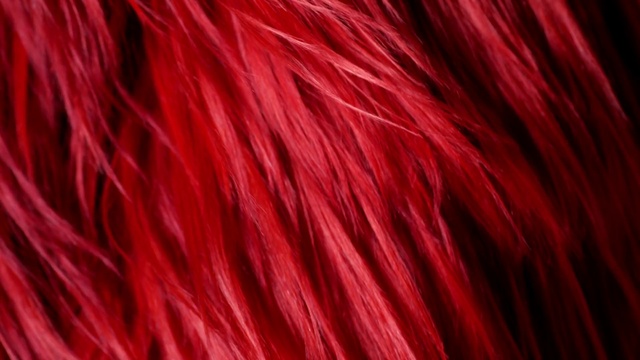 Video Reference: Red, Hair, Magenta, Maroon, Hair coloring, Pink, Close-up, Red hair, Fur, Textile