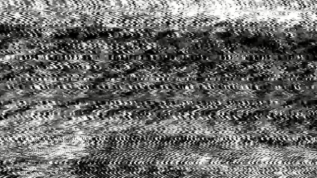 Video Reference: Black-and-white, Monochrome, Monochrome photography, Water, Grass, Pattern, Tree, Photography, Plant, Stock photography