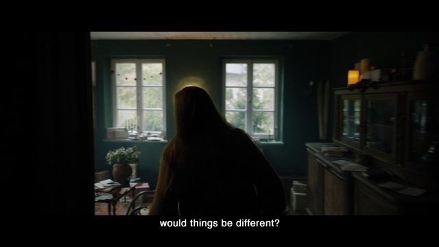 Video Reference: Window, Tints and shades, Wood, Darkness, Event, Glass, Room, Houseplant, Shadow, Daylighting