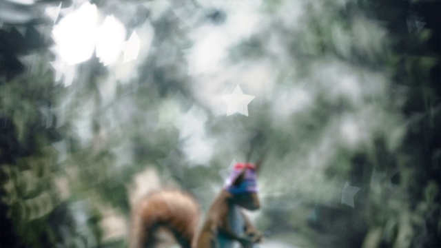 Video Reference: Nature, Wildlife, Tree, Organism, Jungle, Photography, Sunlight, Forest