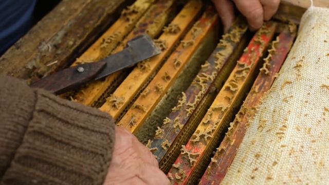 Video Reference: Wood stain, Wood, Textile, Pattern, Hardwood