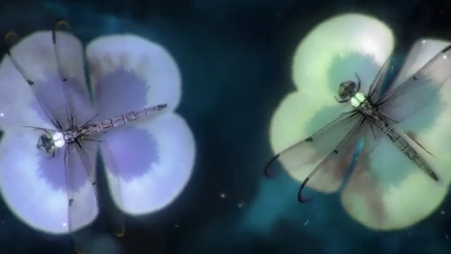 Video Reference: Blue, Macro photography, Petal, Plant, Close-up, Flower, Pollen, Sky, Insect, Wildflower