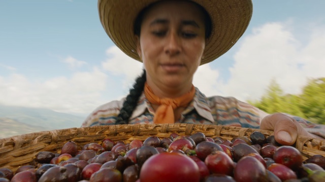 Video Reference: Natural foods, Local food, Fruit, Plant, Headgear, Food, Selling, Farmer, Produce, Person