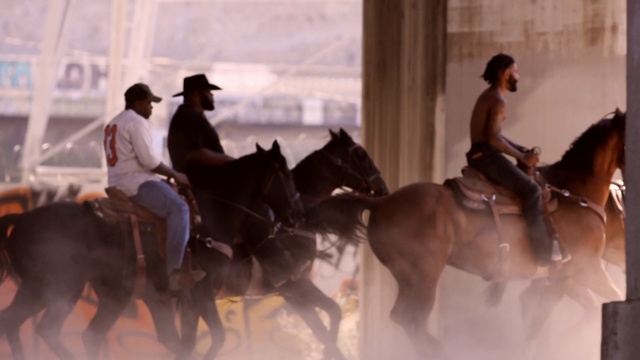 Video Reference: horse, horse like mammal, stallion, western riding, mustang horse, mare, bridle, pack animal, cowboy, Person