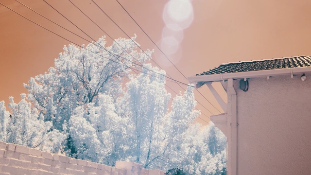 Video Reference: sky, winter, freezing, frost, wall, morning, snow, sunlight, cloud, ice