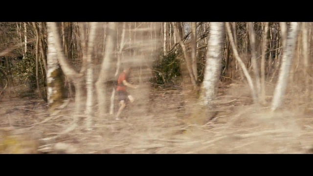 Video Reference: running, bag, water, nature, tree, forest, woodland, wildlife, grass, sunlight, water feature, wood