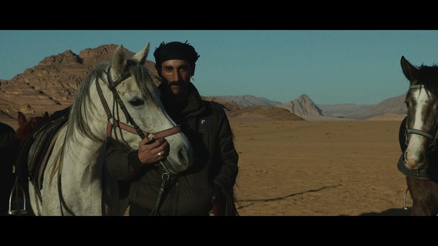 Video Reference: Horse, Rein, Halter, Stallion, Screenshot, Steppe, Ecoregion, Pack animal, Landscape, Horse tack
