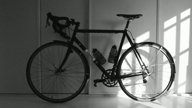 Video Reference: Bicycle, Bicycle wheel, Bicycle part, Bicycle frame, Bicycle tire, Spoke, Vehicle, Bicycle saddle, Bicycle handlebar, Hybrid bicycle, Person