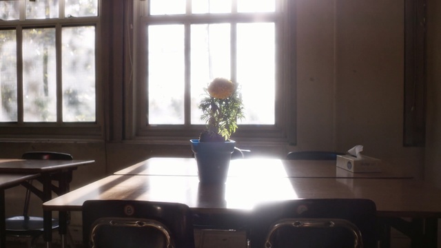 Video Reference: table, room, furniture, window, interior design, sunlight, house, chair, glass, daylighting, Person