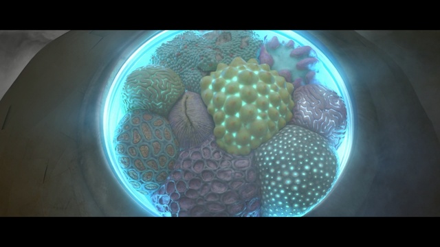 Video Reference: Organism, Turquoise, Marine biology
