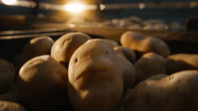 Video Reference: Food, Local food, Vegetable, Plant, Cloud, Produce, Cuisine, Potato