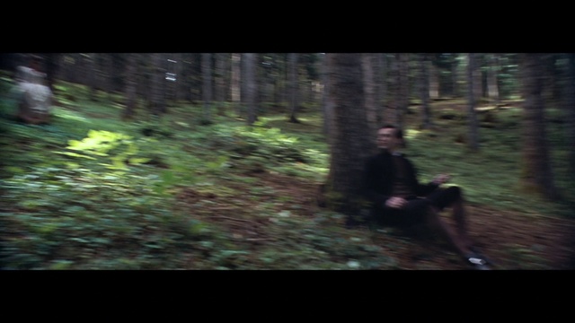 Video Reference: Woodland, Forest, Nature, Natural environment, Tree, Wilderness, Old-growth forest, Biome, Trail, Downhill mountain biking