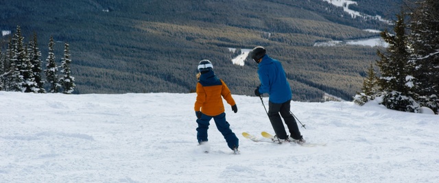 Video Reference: Snow, Ski, Winter, Winter sport, Skiing, Ski Equipment, Recreation, Piste, Fun, Sports equipment, Person