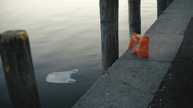 Video Reference: Water, Sky, Reflection, Tree, Calm, Rock, Ice, Art, Sea, Road surface