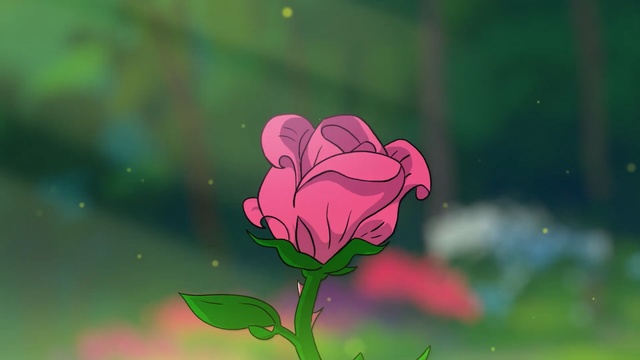 Video Reference: flower, flora, pink, green, plant, leaf, rose family, petal, close up, garden roses
