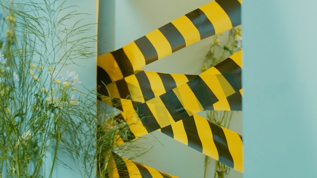 Video Reference: Yellow, Green, Line, Textile, Adaptation, Pattern, Plant, Paper, Flower