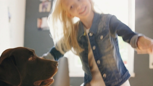 Video Reference: Canidae, Dog, Blond, Dog breed, Sporting Group, Long hair, Companion dog, Ear, Outerwear, Knee, Person