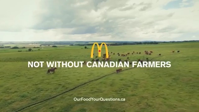 Video Reference: grassland, pasture, ecosystem, prairie, grass, steppe, plain, field, ecoregion, meadow, Person