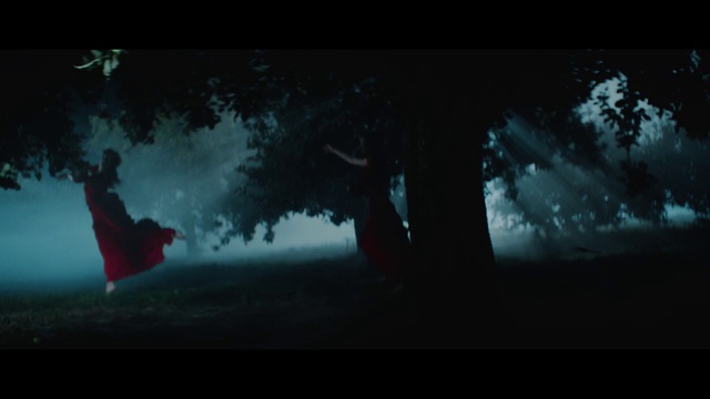 Video Reference: Black, Nature, Sky, Darkness, Atmosphere, Tree, Atmospheric phenomenon, Screenshot, Fiction, Night