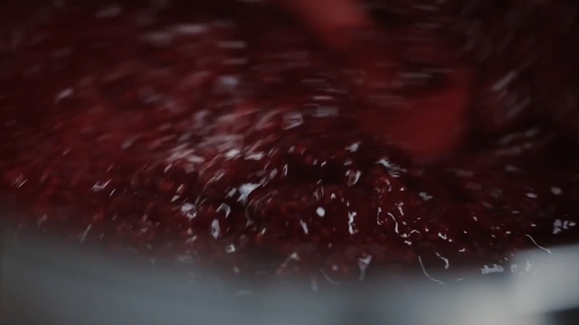 Video Reference: Red, Water, Maroon, Close-up, Macro photography, Darkness, Cranberry sauce, Photography, Flesh, Space