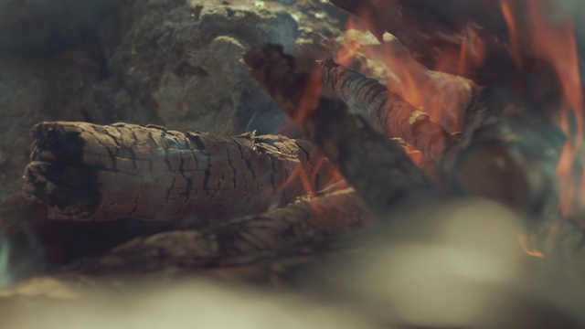 Video Reference: Photography