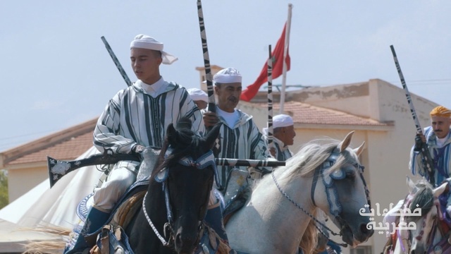 Video Reference: horse, pack animal, horse like mammal, horse harness, middle ages, Person