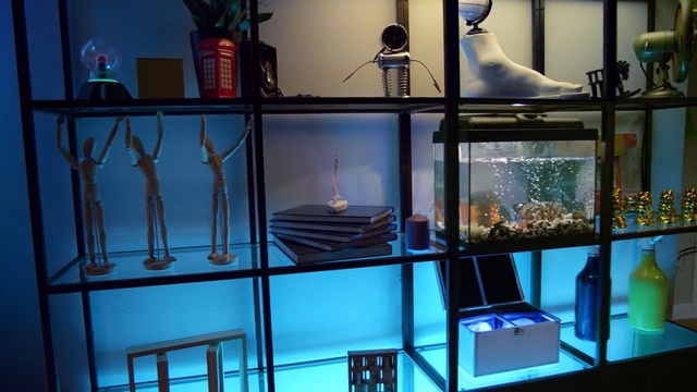 Video Reference: blue, glass, aquarium, table, furniture, shelf, display case, interior design, window