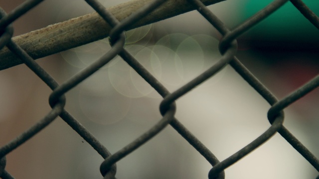 Video Reference: Chain-link fencing, Net, Line, Pattern, Mesh, Design, Metal, Architecture, Tile, Steel
